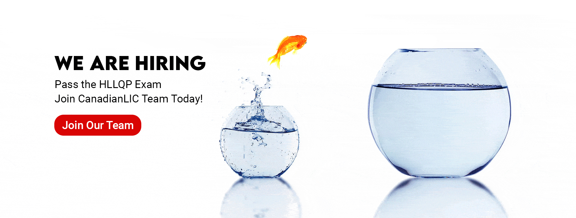 hiring-new-or-licensed-adviser