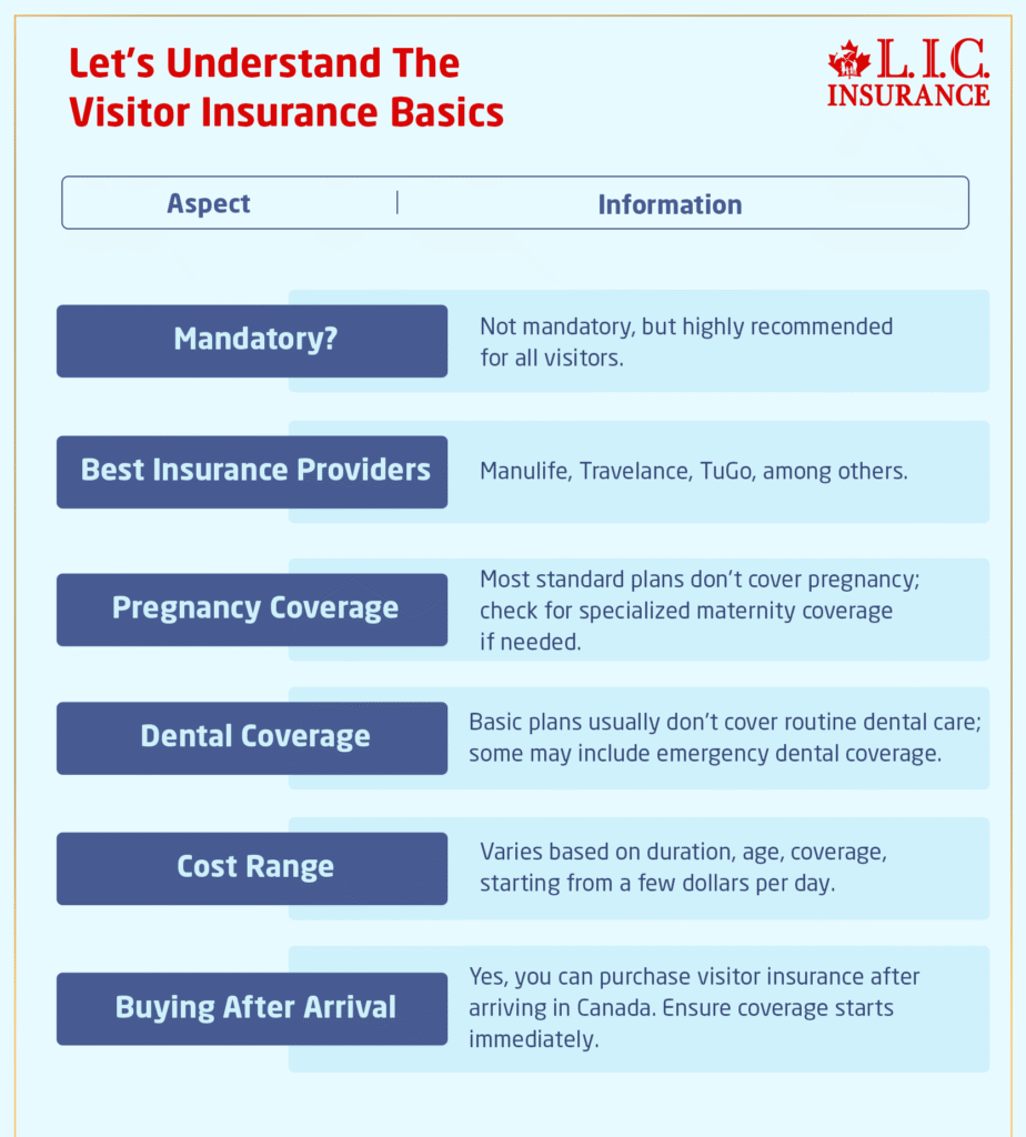 Understand The Visitor Insurance Policy Basics