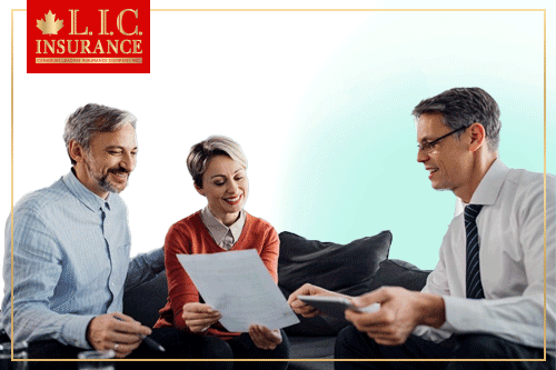 Best Insurance Brokers in Hamilton