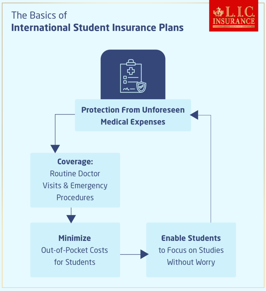 The Basics of International Student Insurance Plans