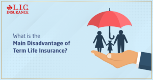 What is the main disadvantage of Term Life Insurance