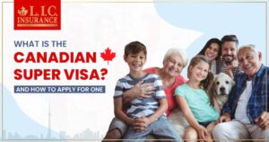 What is the Canadian Super Visa? And How to Apply for One?