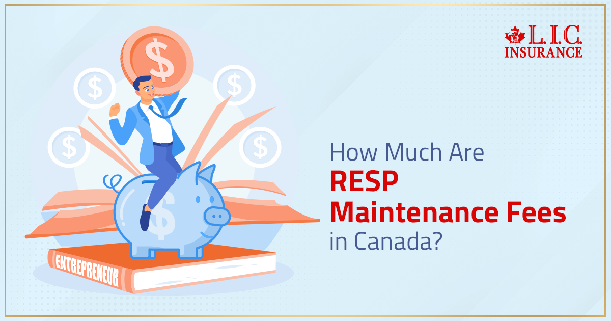 How Much Are RESP Maintenance Fees in Canada?