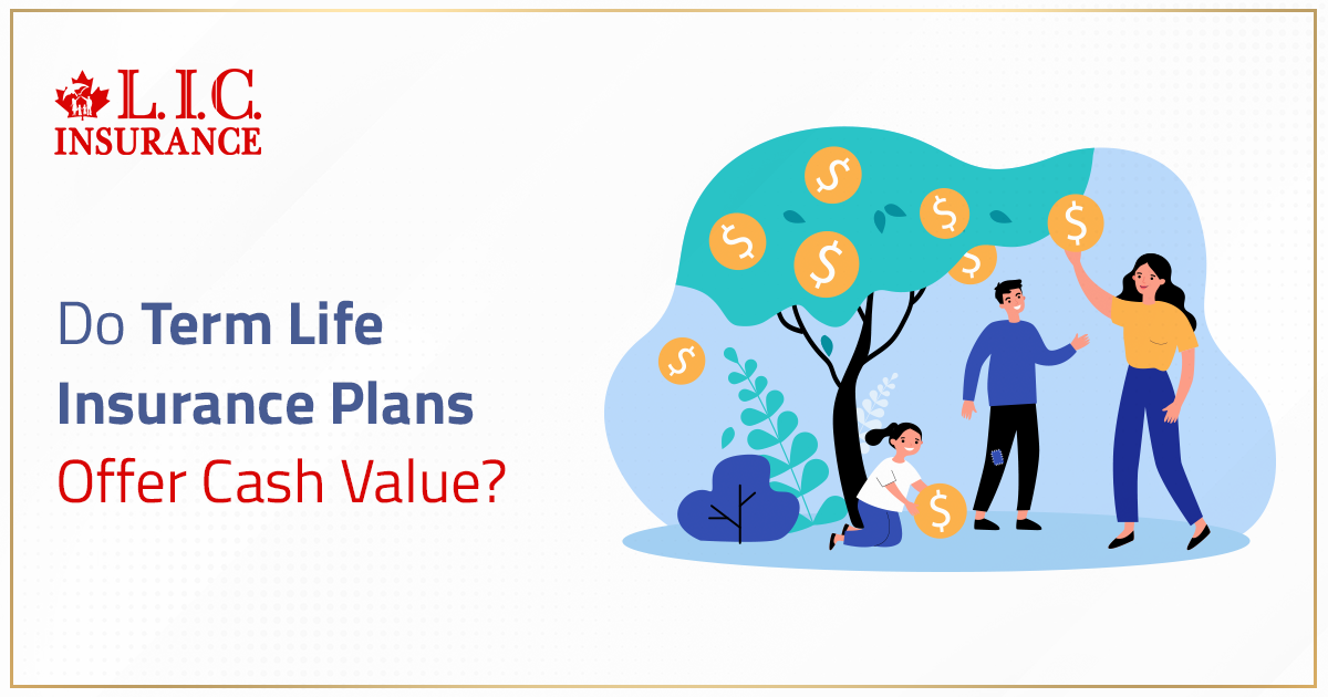Do Term Life Insurance Plans Offer Cash Value?