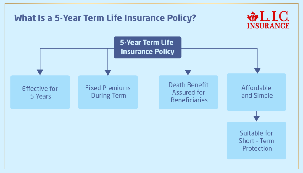 5-Year Term Life Insurance Policy