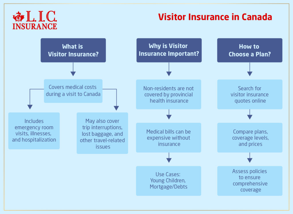 What is Visitor Insurance, and Why Is It Important