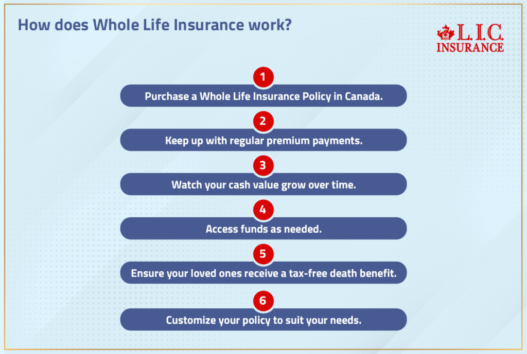 How Does Whole Life Insurance Work