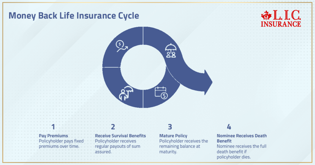 Money Back Life Insurance Cycle